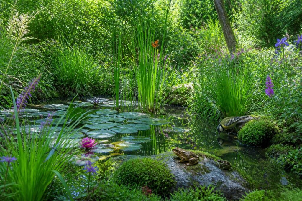 apprenez à créer une mare naturelle dans votre jardin et favorisez la biodiversité grâce à notre guide étape par étape. un espace écologique pour attirer faune et flore.